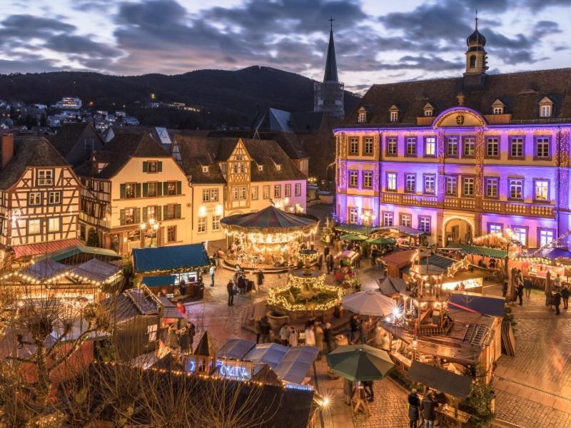 Pfaelzer Herzel Neustadt an der Weinstraße Eksteriør billede
